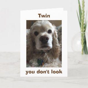 TWIN-YOU DON'T LOOK A DAY OVER "FABULOUS" BIRTHDAY CARD