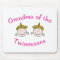 Twincess Grandma