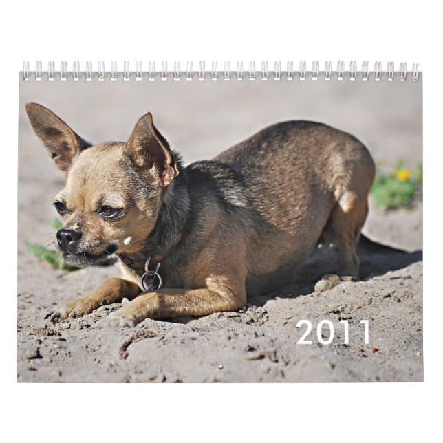 Twinkie's 2011 Academic Calendar (Cover)