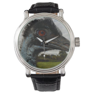 "Twinkle in the Eye: An Emu’s Curious Gaze" Watch