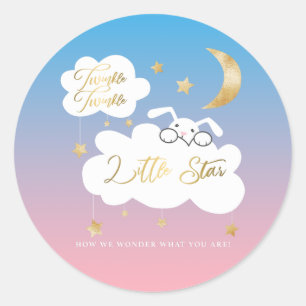 Twinkle Little Star Bunny Gender Reveal Favour Classic Round Sticker