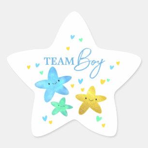 Twinkle Little Star Gender Reveal Team Boy Sticker