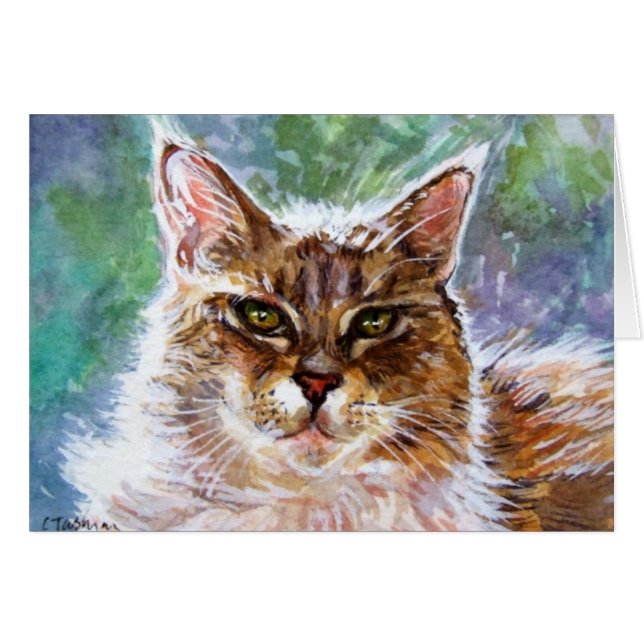 Twinkle the cat (Front Horizontal)