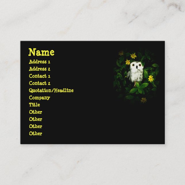 Twinkle Twinkle Little Stars Owl Namecard (Front)