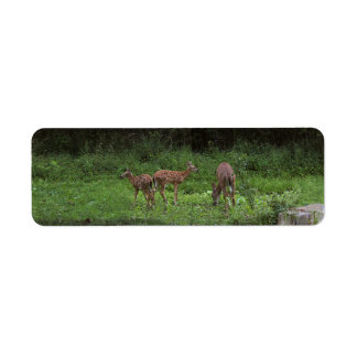 Twins and their Mama Return Address Label