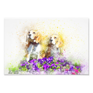 Twins Dogs Photo Print