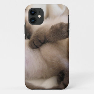 Twins Pet Cat Cute Siamese Kitten iPhone 11 Case