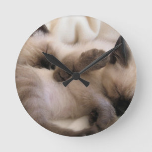 Twins Pet Cat Cute Siamese Kitten Round Clock