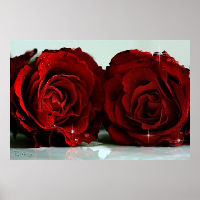 Twins Poster (Front)