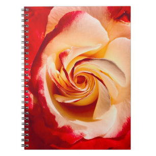 Twirling Rose Notebook
