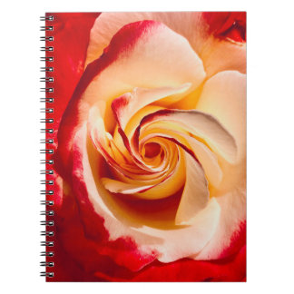 Twirling Rose Notebook 
