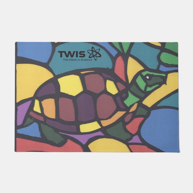 TWIS #blairsanimalcorner Box Turtle Doormat  (Front)