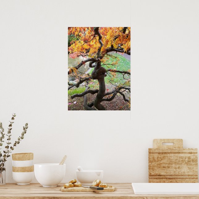Twisted Autumn Japanese Maple Tree Poster (Kitchen)