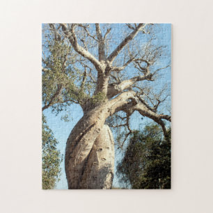 Twisted baobab tree, Madagascar Jigsaw Puzzle