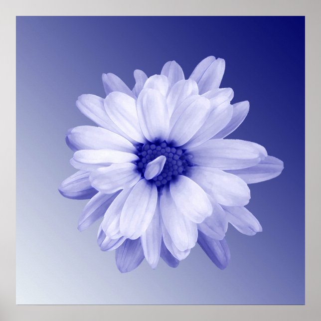 twisted blue petal poster (Front)