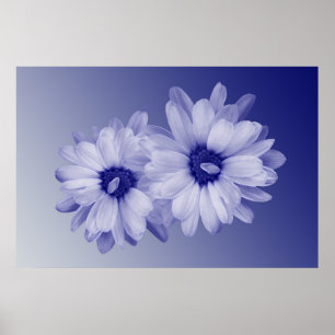 twisted blue petals poster