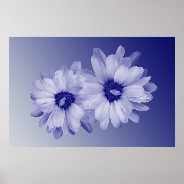 twisted blue petals poster (Front)