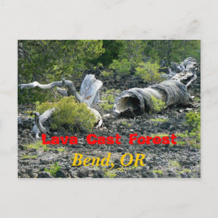 Twisted Destruction Postcard