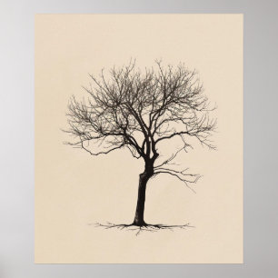 Twisted Gnarled old tree minimalist line art Poster
