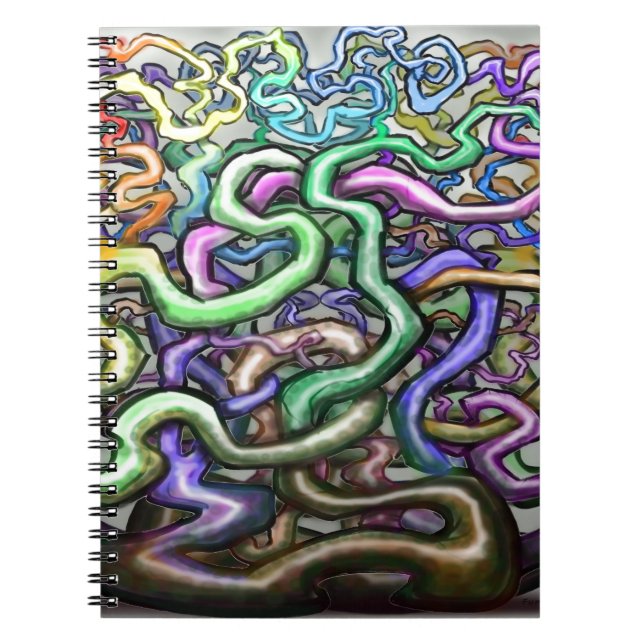 Twisted Rainbow Vines Notebook (Front)