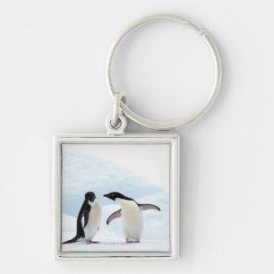 Two Adelie Penguins sitting on a sheet of ice Key Ring