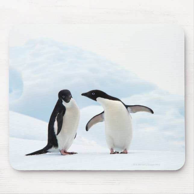 Two Adelie Penguins sitting on a sheet of ice Mouse Pad (Front)