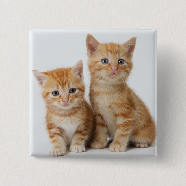 Two Adorable Kittens 15 Cm Square Badge (Front)