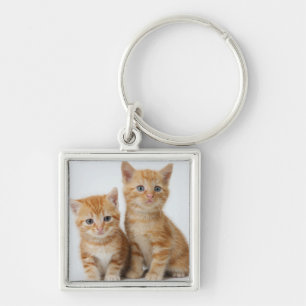 Two Adorable Kittens Key Ring