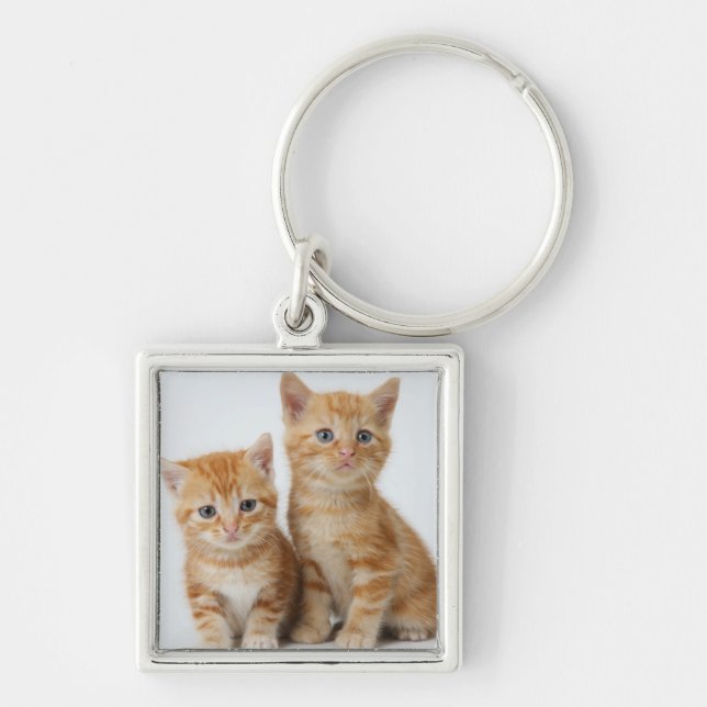 Two Adorable Kittens Key Ring (Front)