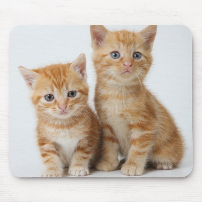 Two Adorable Kittens Mouse Pad (Front)