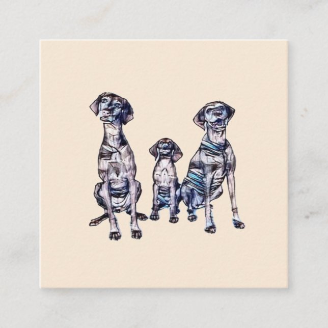 Two adult and one young puppy Vizsla breed dogs si Square Business Card (Front)