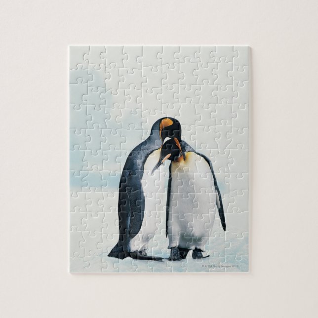 Two affectionate penguins jigsaw puzzle (Vertical)