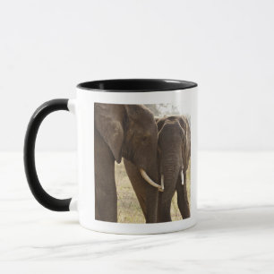 Two African Bush Elephants (Loxodonta Africana) Mug