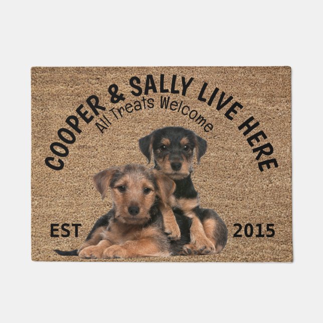Two Airedale Terriers Personalised Dog Lover   Doormat (Front)