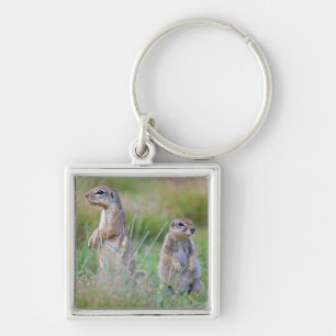Two alert Ground Squirrels, Jamestown District, Key Ring