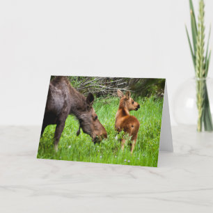 Two Alert Moose Mother And Baby Card