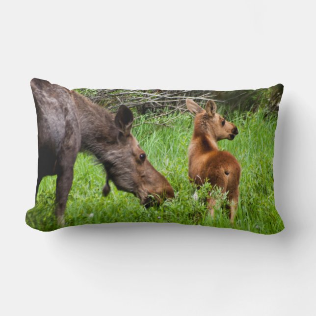 Two Alert Moose Mother And Baby Lumbar Cushion (Front)