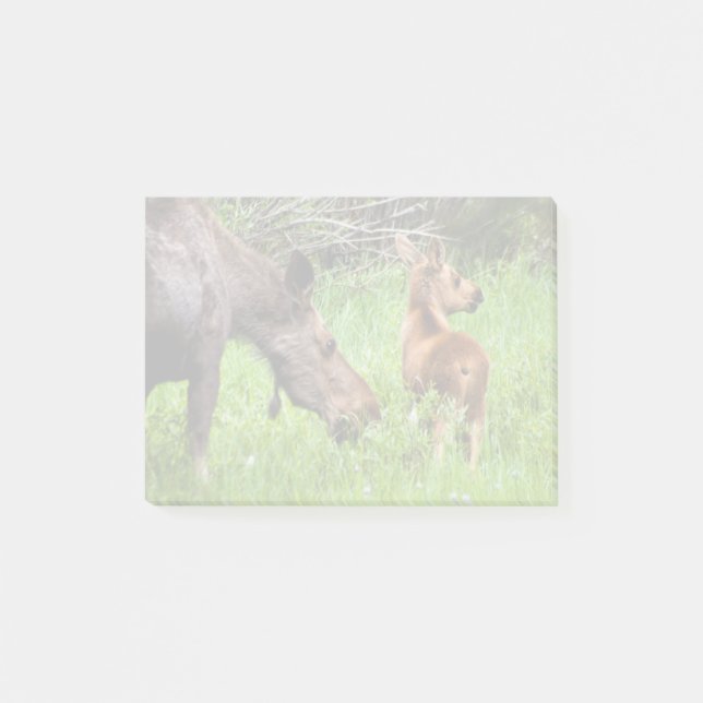 Two Alert Moose Mother And Baby Post-it Notes (Front)