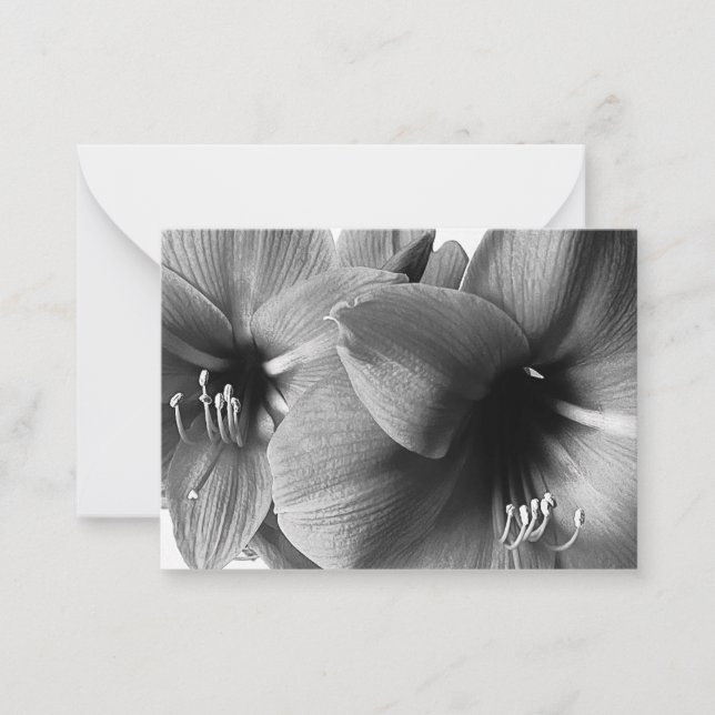 Two Amaryllis Flowers Photo Card (Front)
