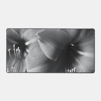 Two Amaryllis Flowers Photo Desk Mat