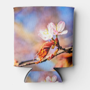 Two Amazing Sakura Flowers. Pink, Blue Background Can Cooler