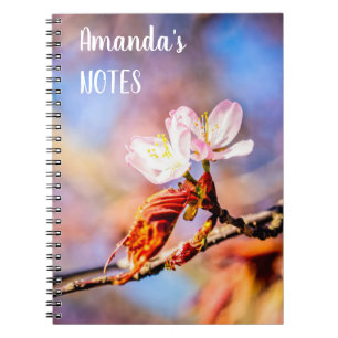 Two Amazing Sakura Flowers. Pink, Blue Background Notebook