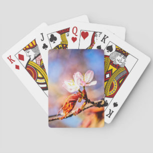 Two Amazing Sakura Flowers. Pink, Blue Background Playing Cards