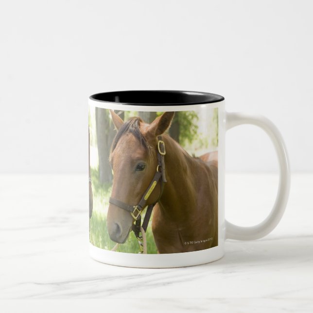 Two American Quarter horses standing in shade Two-Tone Coffee Mug (Right)