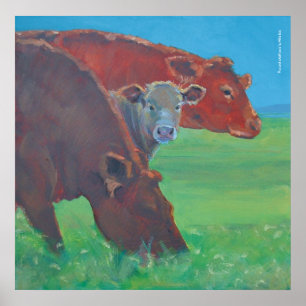'Two and a half cows' painting Poster