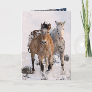 Two Appaloosas Greeting Card