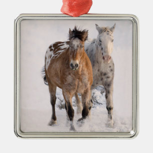 Two Appaloosas Horse Ornament