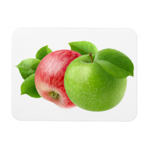 Two apples magnet