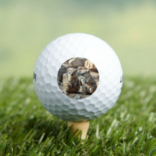 Two Aussie Rottnest IsLand Quokkas, Golf Balls