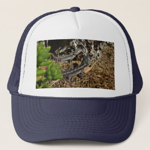 Two Australian Bearded Dragon Lizards,   Trucker Hat